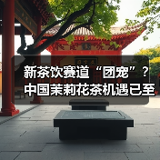 新茶饮赛道“团宠”？中国茉莉花茶机遇已至！（图2）