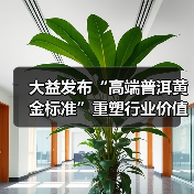 大益发布“高端普洱黄金标准”重塑行业价值，「大益传奇1975」震撼面世！（图4）