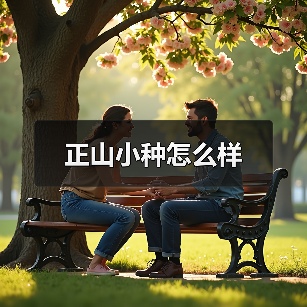 正山小种怎么样(图1) 正山小种怎么样(图1)