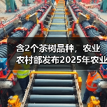 含2个茶树品种，农业农村部发布2025年农业主导品种主推技术（图1）