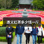 遵义红茶多少钱一斤(图2) 遵义红茶多少钱一斤(图2)
