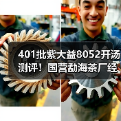 401批紫大益8052开汤测评!国营勐海茶厂经典,万元级老茶佳选(图1) 401批紫大益8052开汤测评!国营勐海茶厂经典,万元级老茶佳选(图1)