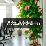 遵义红茶多少钱一斤(图3) 遵义红茶多少钱一斤(图3)