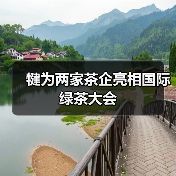 犍为两家茶企亮相国际绿茶大会(图1) 犍为两家茶企亮相国际绿茶大会(图1)