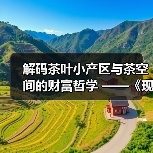 解码茶叶小产区与茶空间的财富哲学 ——《现代商业银行·财富生活》专访邓增永(图4) 解码茶叶小产区与茶空间的财富哲学 ——《现代商业银行·财富生活》专访邓增永(图4)
