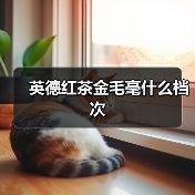英德红茶金毛毫什么档次(图2) 英德红茶金毛毫什么档次(图2)
