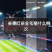 英德红茶金毛毫什么档次(图3) 英德红茶金毛毫什么档次(图3)