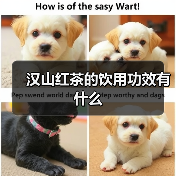 汉山红茶的饮用功效有什么(图1) 汉山红茶的饮用功效有什么(图1)
