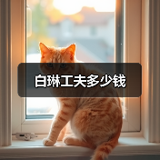 白琳工夫多少钱（图1）