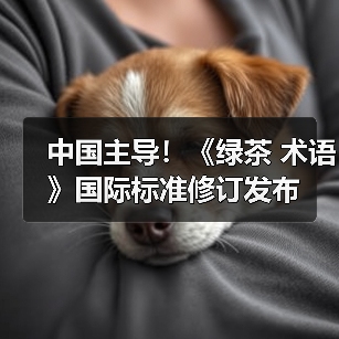 中国主导！《绿茶 术语》国际标准修订发布（图1）