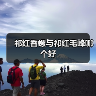 祁红香螺与祁红毛峰哪个好（图4）