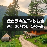 盘点勐海茶厂4款老熟茶：88熟饼、94熟饼、97水蓝印熟、99傣文熟（图2）