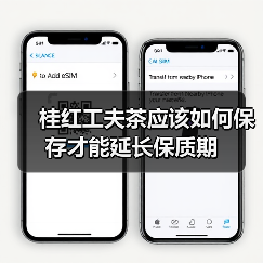桂红工夫茶应该如何保存才能延长保质期（图1）