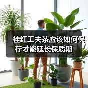 桂红工夫茶应该如何保存才能延长保质期（图2）