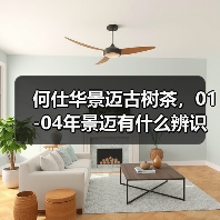 何仕华景迈古树茶，01-04年景迈有什么辨识点？详细解析（图1）