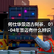 何仕华景迈古树茶，01-04年景迈有什么辨识点？详细解析（图3）