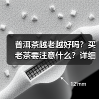 普洱茶越老越好吗?买老茶要注意什么?详细解析(图1) 普洱茶越老越好吗?买老茶要注意什么?详细解析(图1)
