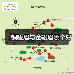 铜骏眉与金骏眉哪个好(图2) 铜骏眉与金骏眉哪个好(图2)