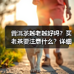 普洱茶越老越好吗?买老茶要注意什么?详细解析(图3) 普洱茶越老越好吗?买老茶要注意什么?详细解析(图3)