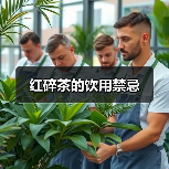 红碎茶的饮用禁忌（图4）