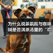 为什么说茶氨酸与咖啡碱是普洱茶汤里的“欢喜冤家”?(图1) 为什么说茶氨酸与咖啡碱是普洱茶汤里的“欢喜冤家”?(图1)
