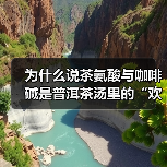 为什么说茶氨酸与咖啡碱是普洱茶汤里的“欢喜冤家”?(图4) 为什么说茶氨酸与咖啡碱是普洱茶汤里的“欢喜冤家”?(图4)