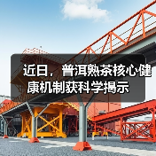 近日,普洱熟茶核心健康机制获科学揭示(图1) 近日,普洱熟茶核心健康机制获科学揭示(图1)