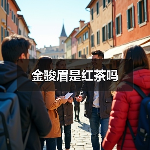 金骏眉是红茶吗（图1）