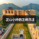 正山小种的正确泡法（图3）