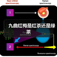 九曲红梅是红茶还是绿茶（图1）