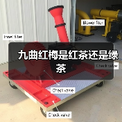 九曲红梅是红茶还是绿茶（图3）