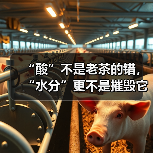 “酸”不是老茶的错，“水分”更不是摧毁它的猛兽！（图3）