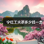 宁红工夫茶多少钱一盒（图3）