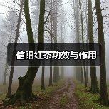 信阳红茶功效与作用（图1）