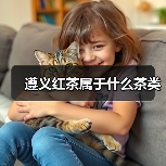遵义红茶属于什么茶类(图3) 遵义红茶属于什么茶类(图3)