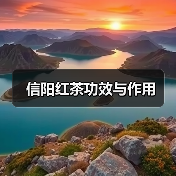 信阳红茶功效与作用（图3）