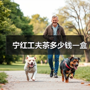 宁红工夫茶多少钱一盒（图1）