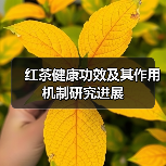 红茶健康功效及其作用机制研究进展（图1）