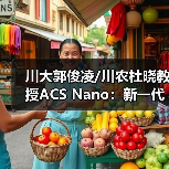 川大郭俊凌/川农杜晓教授ACS Nano：新一代多酚盔甲益生菌重建免疫-肿瘤-微生物组轴强化肿瘤化疗效果（图4）