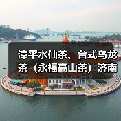 漳平水仙茶、台式乌龙茶(永福高山茶)济南推介会举办(图2) 漳平水仙茶、台式乌龙茶(永福高山茶)济南推介会举办(图2)