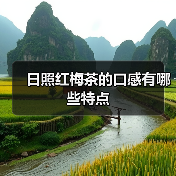 日照红梅茶的口感有哪些特点（图4）
