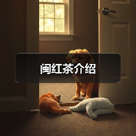 闽红茶介绍（图2）