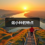 烟小种的特点（图1）
