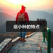 烟小种的特点（图3）