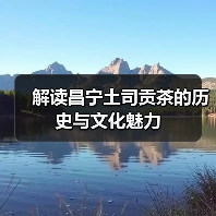 解读昌宁土司贡茶的历史与文化魅力（图3）