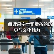解读昌宁土司贡茶的历史与文化魅力（图4）