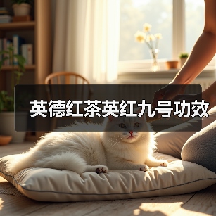 英德红茶英红九号功效(图3) 英德红茶英红九号功效(图3)