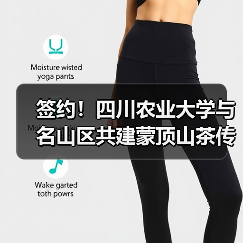 签约!四川农业大学与名山区共建蒙顶山茶传统工艺工作站(图3) 签约!四川农业大学与名山区共建蒙顶山茶传统工艺工作站(图3)