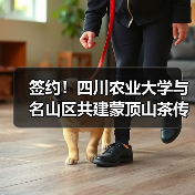 签约!四川农业大学与名山区共建蒙顶山茶传统工艺工作站(图2) 签约!四川农业大学与名山区共建蒙顶山茶传统工艺工作站(图2)