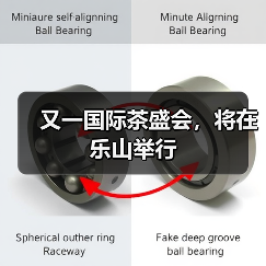 又一国际茶盛会，将在乐山举行（图4）